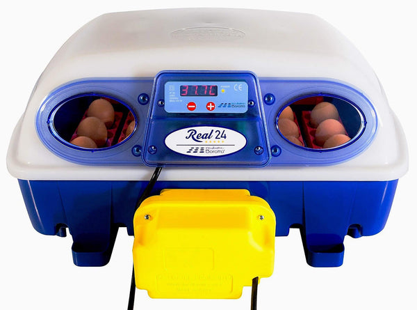 Incubatrice per Uova Automatica Professionale Borotto Real 24 online