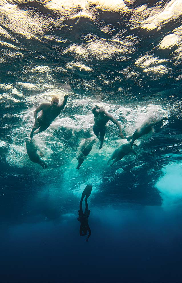 underwater photo of a group of swimmers