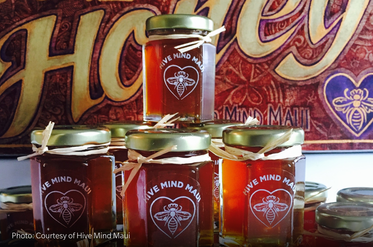 Hive Mind Maui