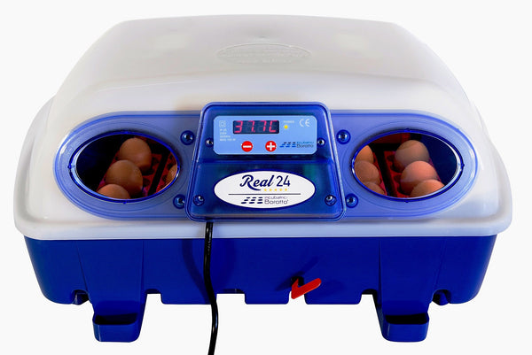 Incubatrice per Uova Semi Automatica Professionale Borotto Real 24 acquista